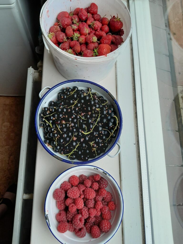 rood fruit