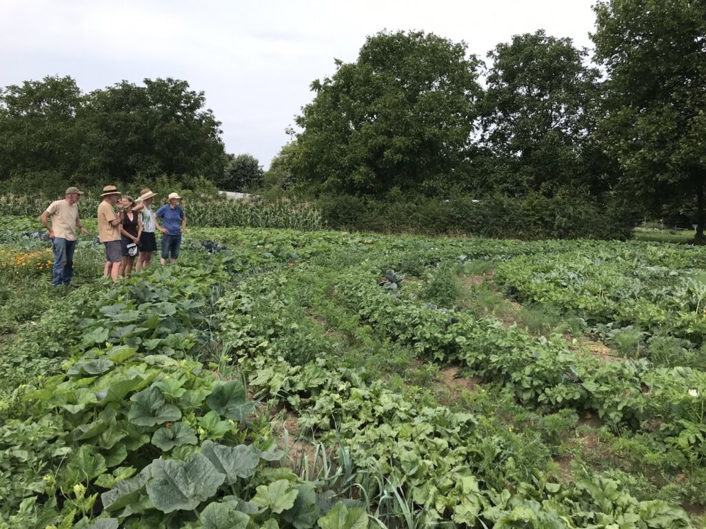 vrijwilligers bij cirkelfarm Tuinderij Bodemliefde